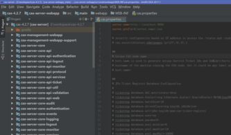 軟件開發(fā)的多元化領(lǐng)域及其發(fā)展趨勢(shì)