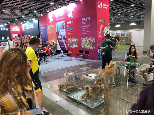 2022大灣區(qū)寵物用品博覽會(huì)暨采購交易會(huì) 共筑寵物經(jīng)濟(jì)新生態(tài)
